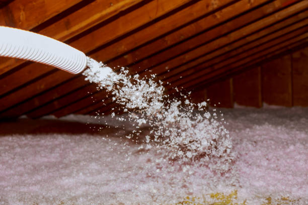 Best DIY Insulation Kits and Guidance in Riverside, AL