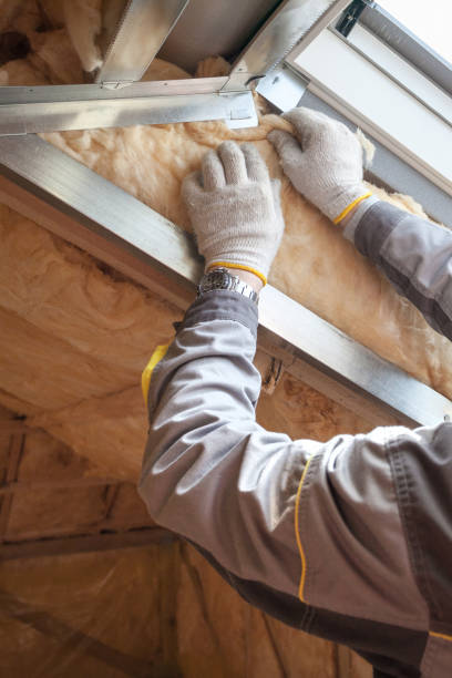 Best Eco-Friendly Insulation in Riverside, AL